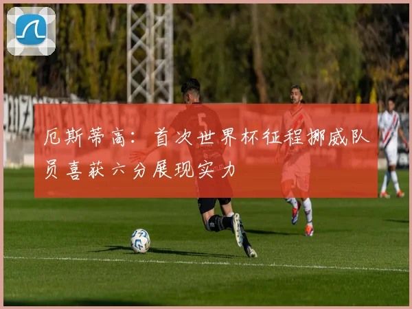 厄斯蒂高：首次世界杯征程挪威队员喜获六分展现实力