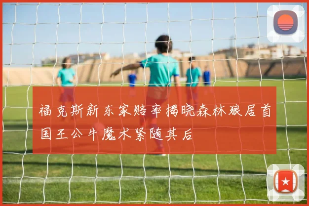 福克斯新东家赔率揭晓森林狼居首国王公牛魔术紧随其后
